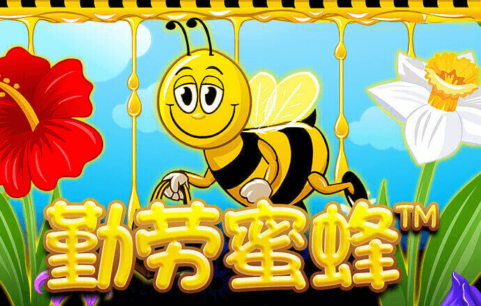 bb平台体育app